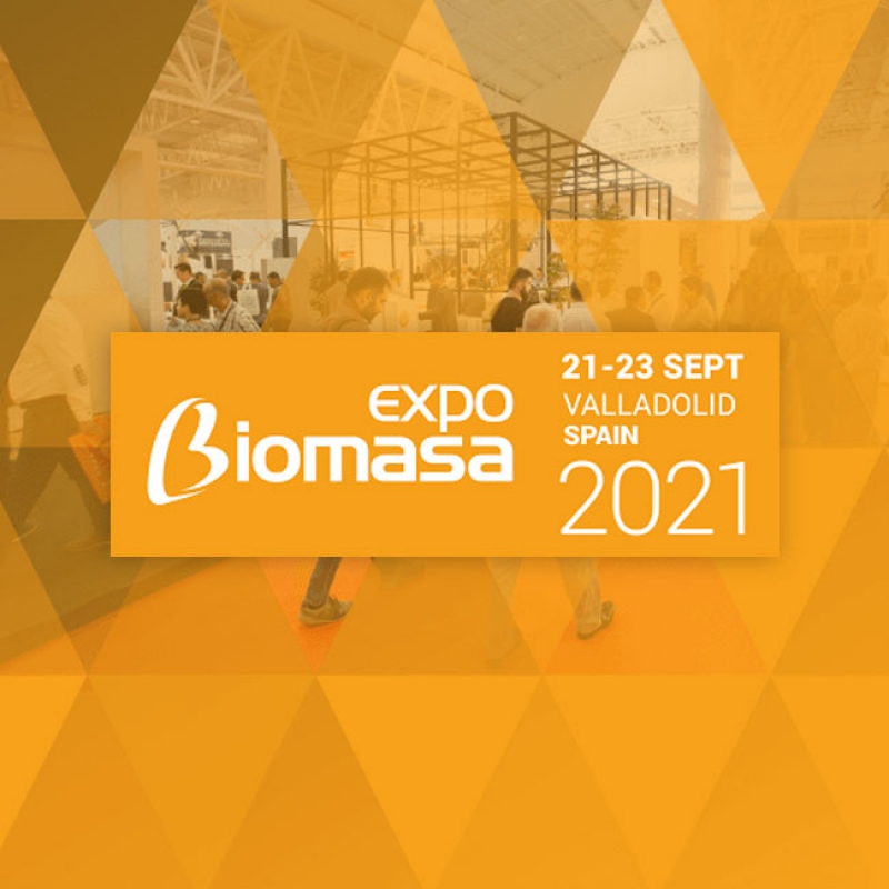 4883e8 expo biomasa 1